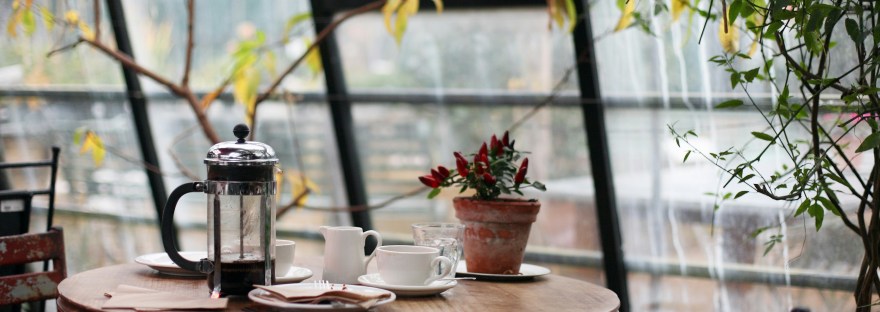 A table with plants on it sits in front of a window.