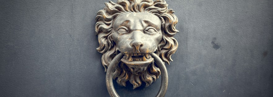 A golden door knocker in the shape of a lion.